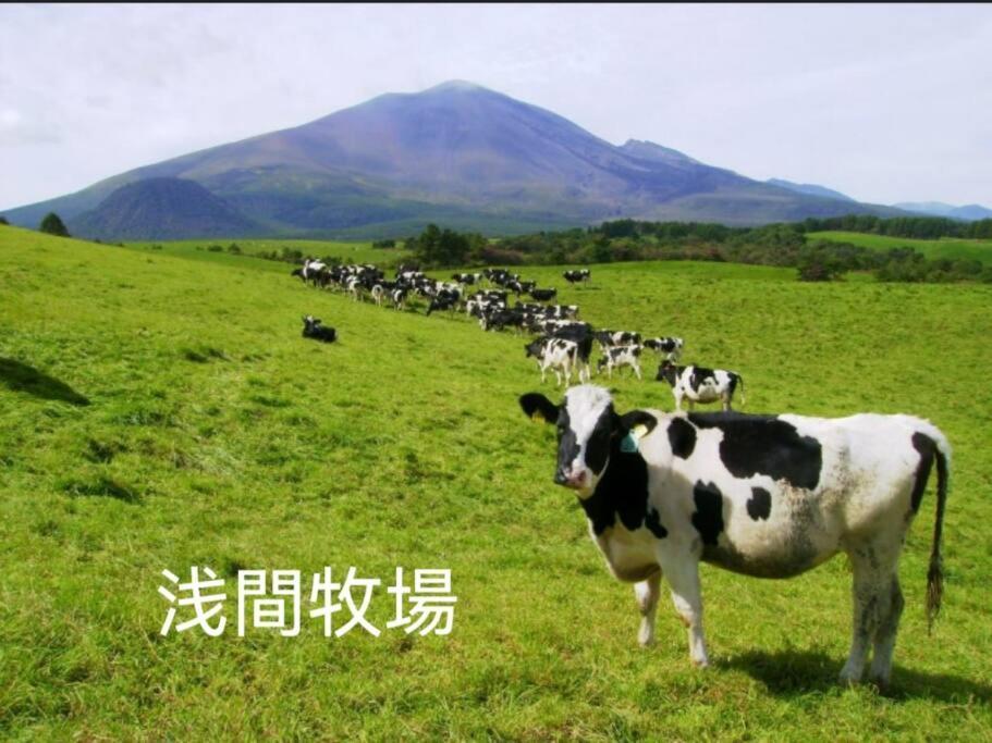 おもちゃ王国と北軽井沢の大自然を満喫できる貸別荘 Каруїдзава Екстер'єр фото